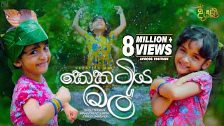 Kekatiya Mal කෙකටිය මල්  Various Artist  Diyani Teledrama Song  eTunes [upl. by Ytte]