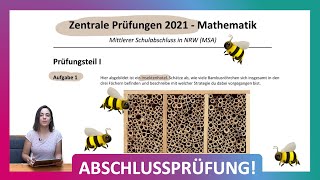 ZP 10 NRW Mathe 2021  Mittlerer Schulabschluss Realschule MSA  Teil 1 Aufgabe 1  Insektenhotel [upl. by Rubin]