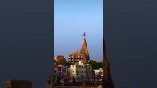 ᴊᴀʏᴅᴡᴀʀᴋᴀᴅʜɪsʜ reelsshortsviralreelsdwarkadhishtempleytshortsexplorepagereeldwarka [upl. by Iniretake]