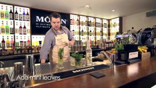 MONIN Mojito [upl. by Carina47]