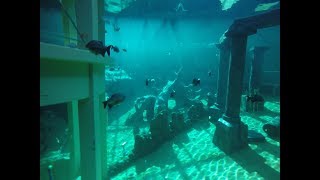 GoPro HERO4 TODI DIVING AQUARIUM GEANT [upl. by Lamphere]