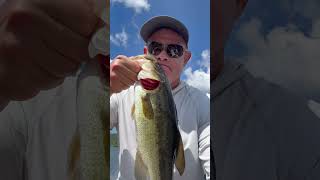 Roboworm Ned  Wicked Weights Ned Head  BASS shorts nedrig largemouthbassfishing shortsyoutube [upl. by Noxaj825]