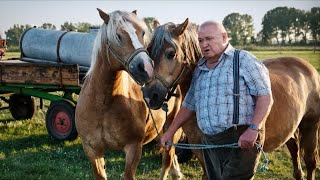 Krauses Zukunft  Komödie Ganzer Film Deutsch [upl. by Annairba905]