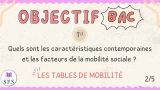 BAC Cours Mobilité Sociale  Les tables de mobilité [upl. by Gnim]