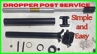 TranzX Dropper Post Service  how to service a dropper post ASMR [upl. by Dewees]