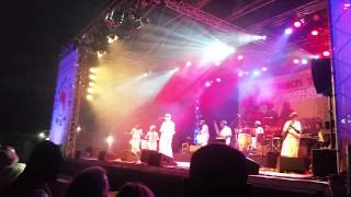 Salif Keita at Africa Festival Vienna Austria 2015 1 of 2 [upl. by Nnyrb]