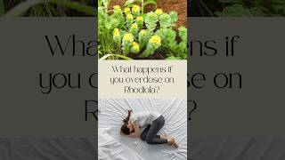 What Happens When You Overdose on Rhodiola [upl. by Anima]