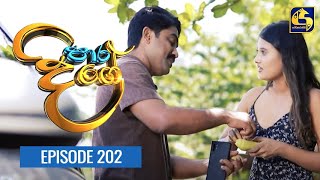 Paara Dige Episode 202  පාර දිගේ  28th February 2022 [upl. by Neeuq]