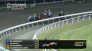 Woodbine Tbred November 25 2023 Race 10 [upl. by Adnovay]