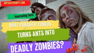 What Parasitic Fungus Turns Ants Into Deadly Zombie [upl. by Lekcar]