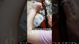 Fiddlover Violin Shop Install Pegs violin violinist violinshop fiddlover [upl. by Holmann]