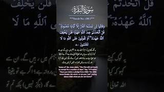 ALBAQARAH Ayat 80 URDU TRANSLATION shortsfeed urdutranslation baqarah quranrecitation [upl. by Ahterahs]