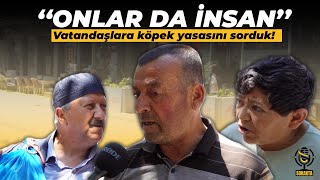 Vatandaşlara köpek yasasını sorduk köpekyasası [upl. by Ayotac]