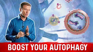 12 Ways to Trigger Autophagy [upl. by Oluas]