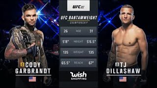 UFC 217 Garbrandt vs Dillashaw 1 Full Fight Highlights [upl. by Abby]