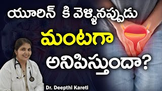 Symptoms and Causes of UTI in Diabetic Patients in Telugu  Dr Deepthi Kareti [upl. by Oiratnom192]