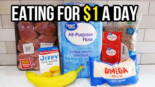 Eating for 1 a Day Cheap and Healthy Meal Ideas You Need to Try [upl. by Brufsky]