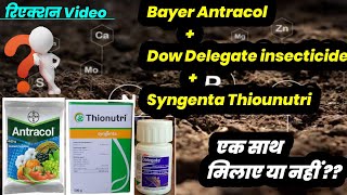 Bayer Antracol Fungicide  Dow Delegate Insecticide  Syngenta Thiounutri Experiment Video [upl. by Aiynot]