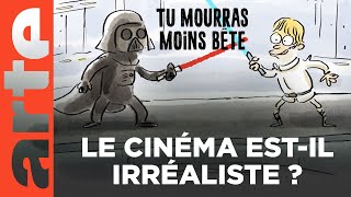 🎬 Le cinéma  Compilation  Tu mourras moins bête  ARTE [upl. by Etteniotnna312]