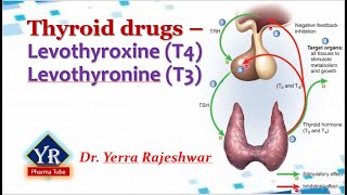 Thyroid drugs  Thyroxine amp Thyronine  YR Pharma Tube  Dr Yerra Rajeshwar  Dr YR [upl. by Sherborne]