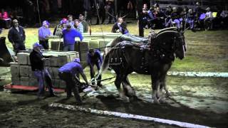 Draft Horse Pull 2013 Deerfield Fair NH Pulling Video 44 [upl. by Yesdnyl]