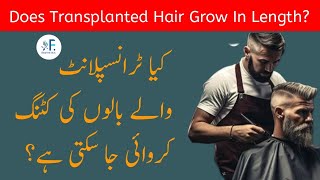 Does Transplanted Hair Grow In LengthF کیاٹرانسپلانٹ والے بالوں کی کٹنگ کروائی جا سکتی ہے؟ [upl. by Ais677]