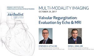 Valvular Regurgitation Evaluation by Echo amp MRI S LITTLE MD amp D SHAH MD [upl. by Sirovart]