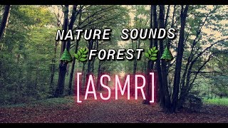 ASMR FOREST SOUNDS 4K RelaxASMR [upl. by Wadleigh]