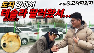 도지 망해서 테슬라 팔러 왔셔 with 중고차파괴자 [upl. by Eednarb]