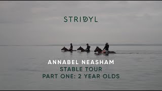 Stable Tour with Annabel Neasham 2YearOlds Sires to follow and life as a trainer [upl. by Olin]