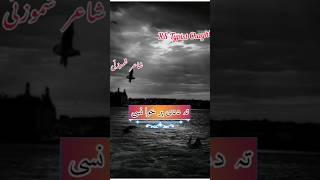 nosherwan new song 2024 tiktok Nosherwan Ashna New Song Nosherwan New Pashto Song pashtosong song [upl. by Urd930]