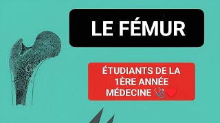 ANATOMIE 🦴 LE FÉMUR OSTÉOLOGIE DU MEMBRE INFÉRIEUR 1ÈRE MÉDECINE 🥼✅ [upl. by German]