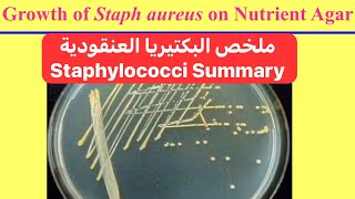 ملخص البكتيريا العنقودية Staphylococci Summary [upl. by Pacificia]