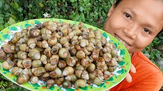 Cooking whelk with chili  eating delicious [upl. by Huang]