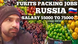 Russia work visa🇷🇺 fruits packing jobs in russia🍇🍎 Work visa russia amazing salary 😍🇷🇺🇮🇳 [upl. by Adnot776]