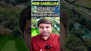 DLF Will Launch Camellias 2 More Luxury Than Camellias 1  propertylenden [upl. by Yentruocal]