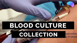 Blood Culture Collection  OSCE Guide  UKMLA  CPSA [upl. by Fronnia]