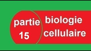 cours biologie cellulaire partie 15 la traduction  البيولوجيا بالدارجة [upl. by Kooima503]