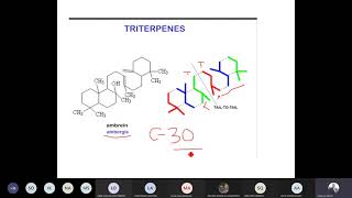 Phytochemistry Lecture 17 part 1 [upl. by Nuahsyt]