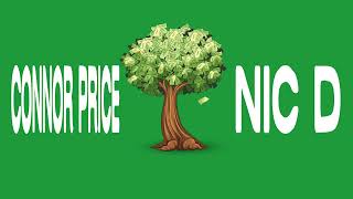 Bankroll by Nic D amp Connor Price Official Lyric Video [upl. by Ahselat]