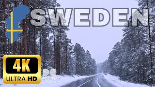 Winter Drive Exploration through Swedens Snowy Landscape 4K [upl. by Sido]