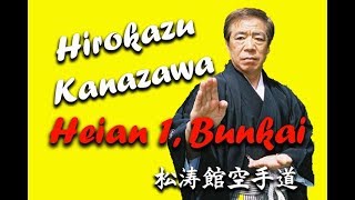 Hirokazu Kanazawa Heian Shodan Bunkai [upl. by Rhynd]