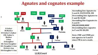 EnglishAgnates and cognates  Hindu Succession Act1956 [upl. by Tilla56]