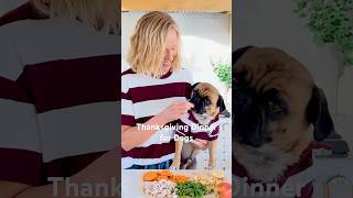 Calling All Dog Moms  Thanksgiving Dog Dinner Recipe [upl. by Stewardson]