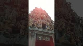 angalamman history Tamilshorhs like comment subscriber viralvideos [upl. by Argile477]