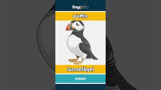 🇬🇧🇸🇪 puffin  lunnefågel  learn English  låt oss lära oss engelska [upl. by Aim926]