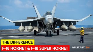 What is the Difference Between F18 Hornet and F18 Super Hornet [upl. by Stralka]