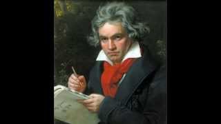 Beethoven  Symphony n°9 1st movement  quotappropriatequot tempo [upl. by Haidebej64]