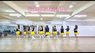 Udang Dibalik Batu Linedance  Dance Lovers Studio by Yuli Icon [upl. by Eenitsed785]