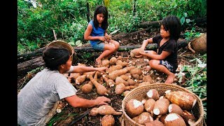 Cresce o número de doenças entre índios por maus hábitos alimentares [upl. by Glynias651]